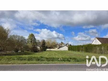 vente terrain à muides-sur-loire (41500) : à vendre / 669m² muides-sur-loire