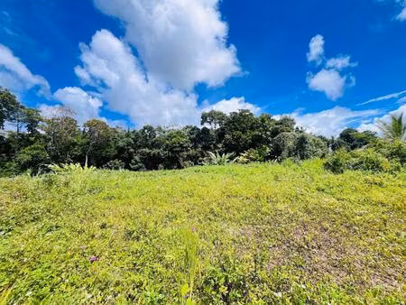 achat terrain 722m² petit bourg 97170