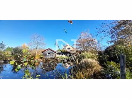 propriété de caractère avec fort potentiel – cadre de vie privilégié à 15 min de beaune