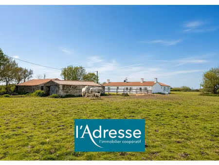 vente maison 7 pièces  142.00m²  saint