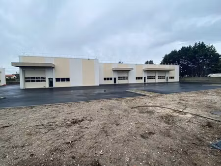 location local d'activités 110 m² à 2 395 m²