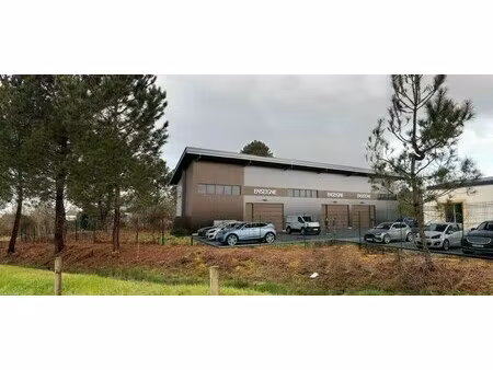 location local d'activités 36 m² à 525 m²