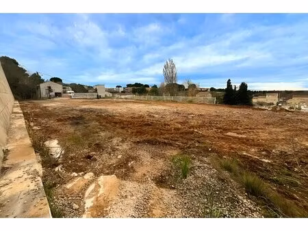 terrain constructible