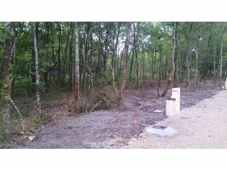 vente terrain 500 m² salles (33770)