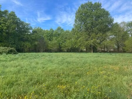 vente terrain 600 m² vensac (33590)