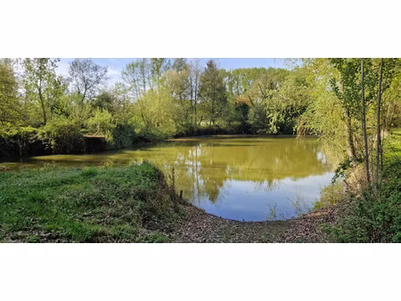 achat terrain 4 135m² chaveignes 37120