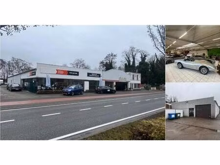 surface industrielle à vendre à h. hartlaan 15 tessenderlo (rbv69893)