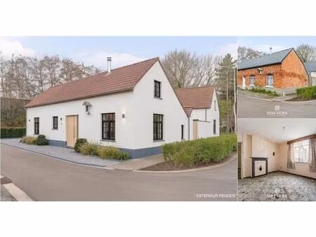 ferme à vendre à grote lindestraat 10 hasselt (rbv70190)