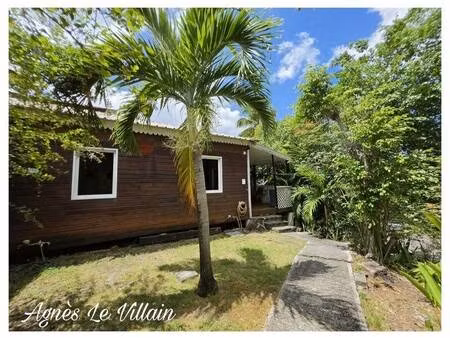 le villain agnès capifrance