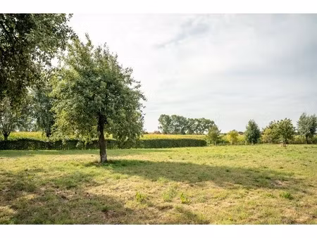 huis te koop in damme met 5 slaapkamers