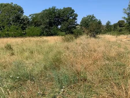 vente terrain à construire 1000 m² flayosc (83780)
