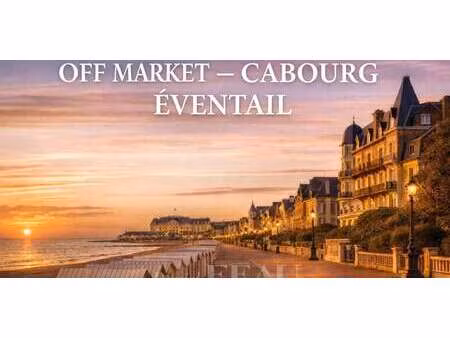 maison avec jardin cabourg (14)