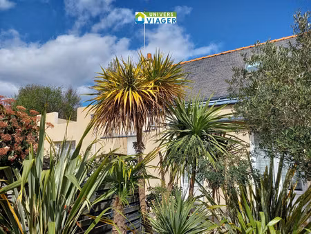 maison viager occupé ploemeur