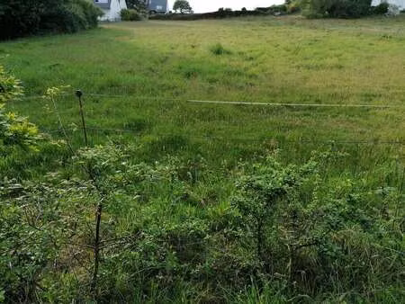 vente terrain à languidic (56440) : à vendre / languidic