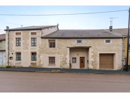 vente maison 11 pièces 335 m² val-de-meuse (52140)
