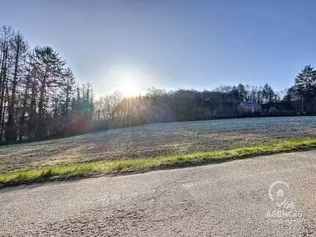 terrain agréable dans la forêt de dion