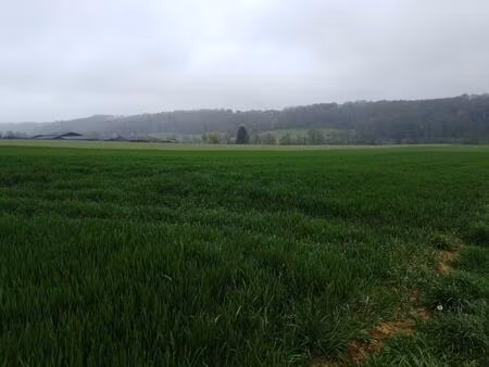terrain agricole à vendre  idéal pour développer ou agrandir votre exploitation