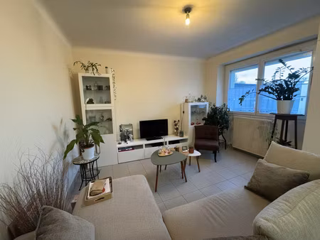 location maison à mésanger (44522) : à louer / 55m² mésanger