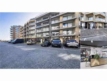 immeuble de rapport à vendre avec garage   nieuwpoort (rbv69763)