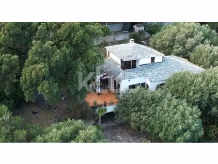maison de luxe à vendre à ville-di-pietrabugno
