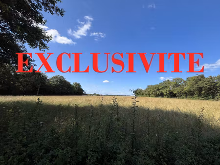 achat terrain 17 894m² mouhet 36170