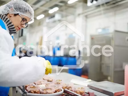 vente local industriel 2 pièces 153 m² lille (59000)