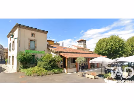 vente commerce 300 m² saint-martin-des-plains (63570)