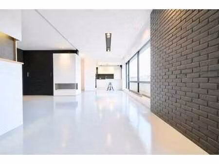 magnifique appartement style loft + box fermé