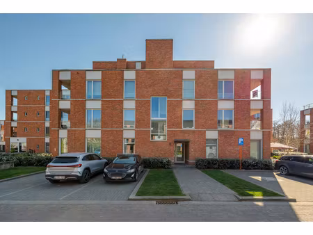 appartement te huur in malle met 1 slaapkamer