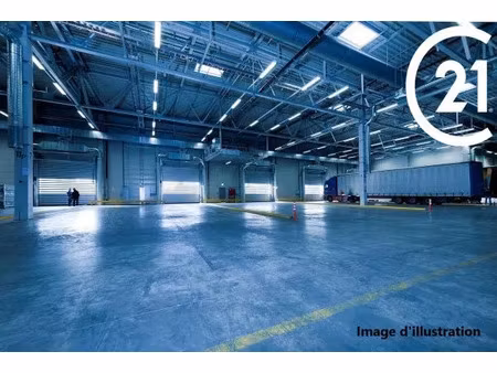 location commerce 700 m² à perpignan (66000)