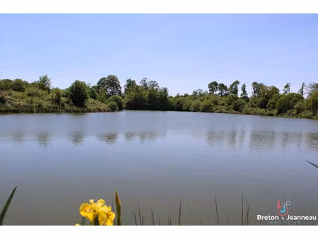 terrain de 3 ha 90 avec un plan d'eau de 1 ha 40 en mayenne