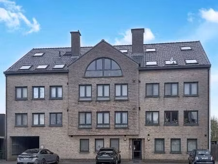 appartement à louer à kemzeke € 780 (ln77k) - immodevelopment | zimmo