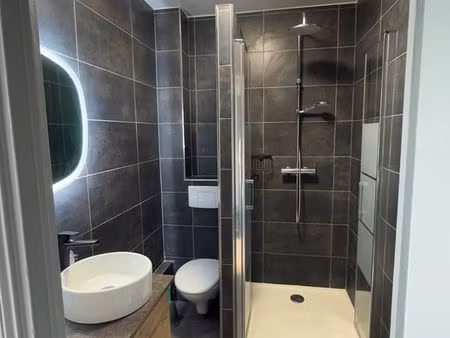 t2 meublé refait 60m2