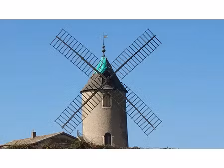 vente local industriel 3730 m² romanèche-thorins (71570)