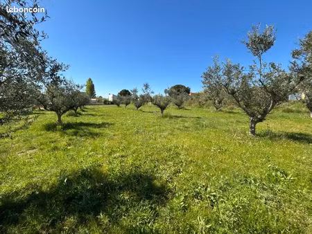 terrain 2 352 m² magalas