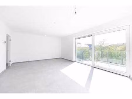 appartement 2 ch  terrasse  cave et parking