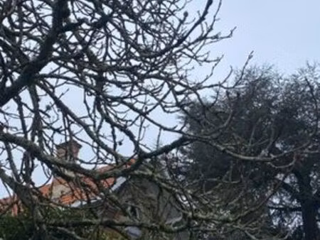 bordeaux cauderan tivoli parc bordelais maison de charme 180 m2