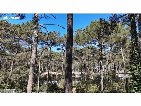 terrain 750 m² lacanau