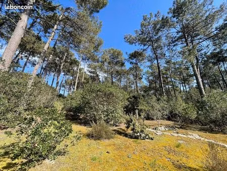 terrain 1 450 m² lacanau