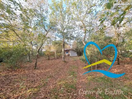 maison 2 pièces 45 m²