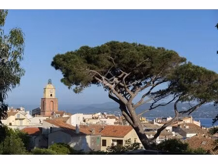 très rare à vendre restaurant - saint-tropez