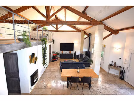 cabannes - maison de ville style loft de 192 m² avec jardin  parkings et dépendance