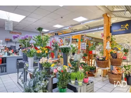 local d’activité à montmagny (95360)