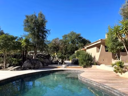 sud corse immobilier