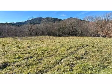 wleklak chantal capifrance