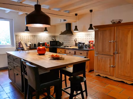 vente maison 8 pièces 242 m² saint-sulpice-la-pointe (81370)