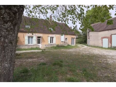 maison à vendre thorigny-sur-oreuse