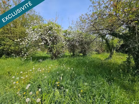 vente terrain à batir 1160 m² à chasseneuil (36800)  12 000 €