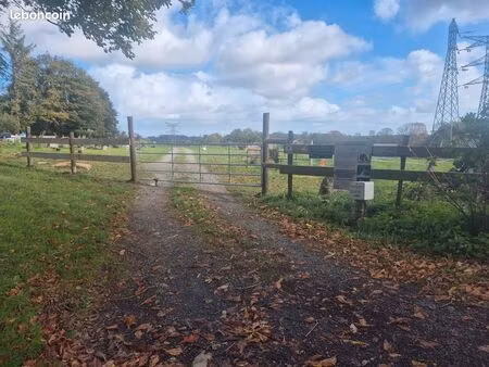 terrain agricole 5 hec prairie chevaux