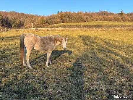 cherche parcelle 1ha à louer